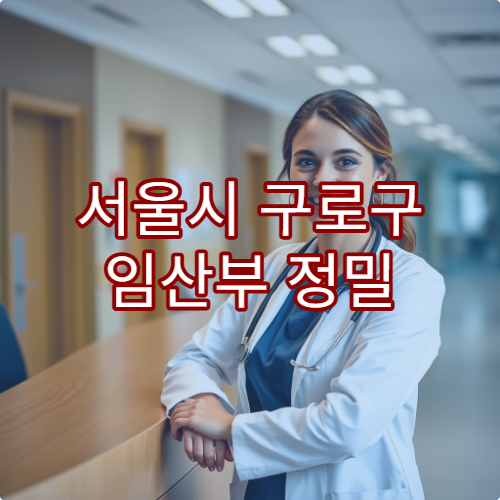 서울시 구로구 임산부 정밀 초음파 및 산전검사 가능한 병원