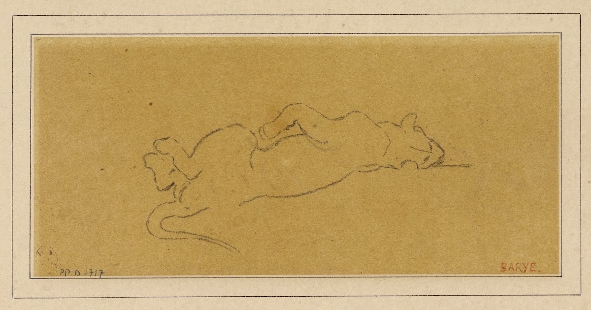 Tigre mort 19th century