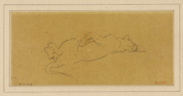 Tigre mort 19th century