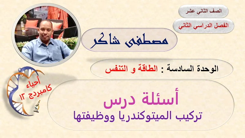 صورة الغلاف