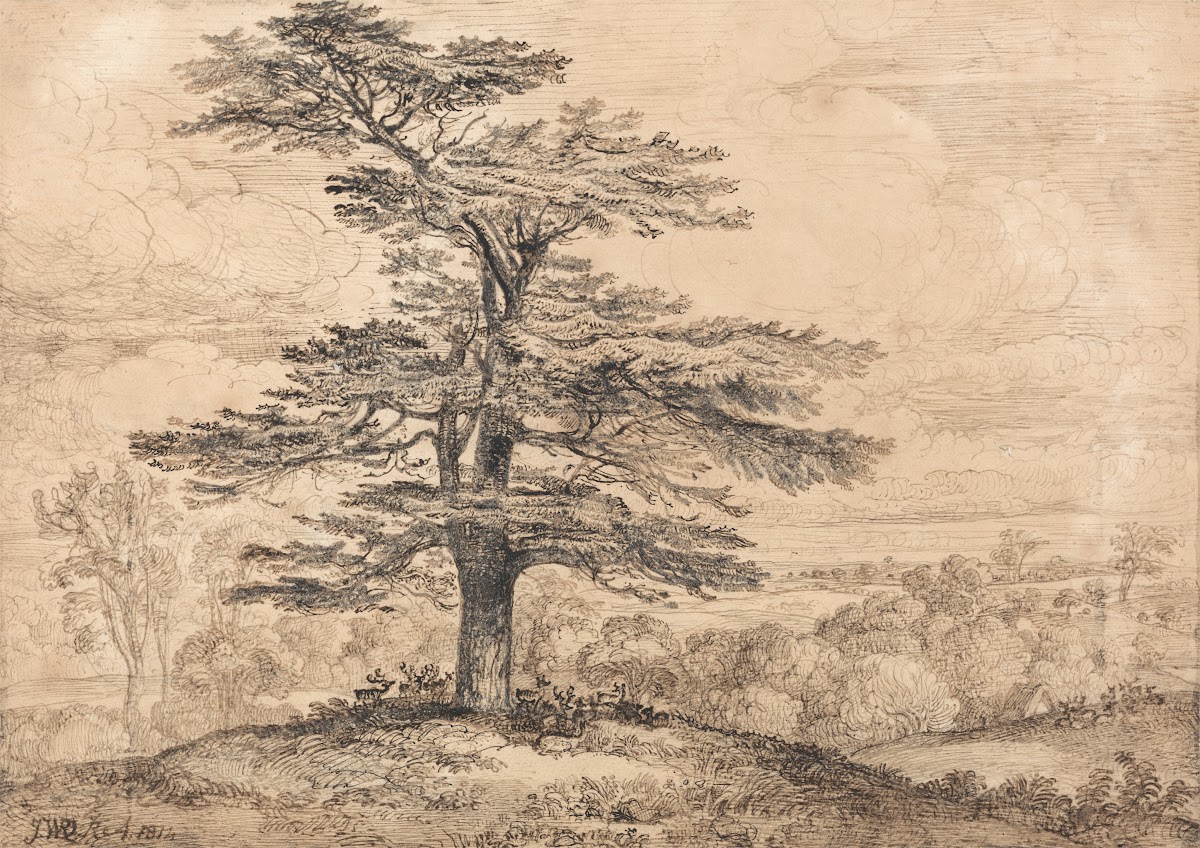 A Cedar on a Rise with a Herd of Deer Grouped Beneath its Shade 1814