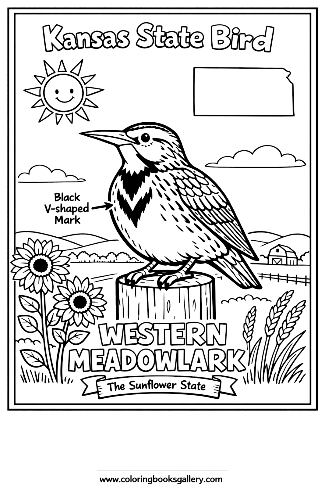 Kansas State Bird – Simple Educational Printable Coloring Page for Kids – printable coloring page