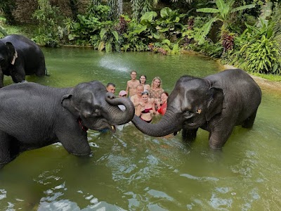 Приватный · KHAOLAK SAFARI (1-DAY TRIP) photo 1