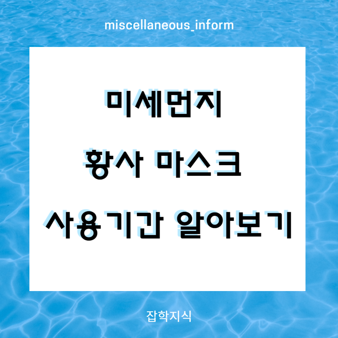 섹션 1 이미지