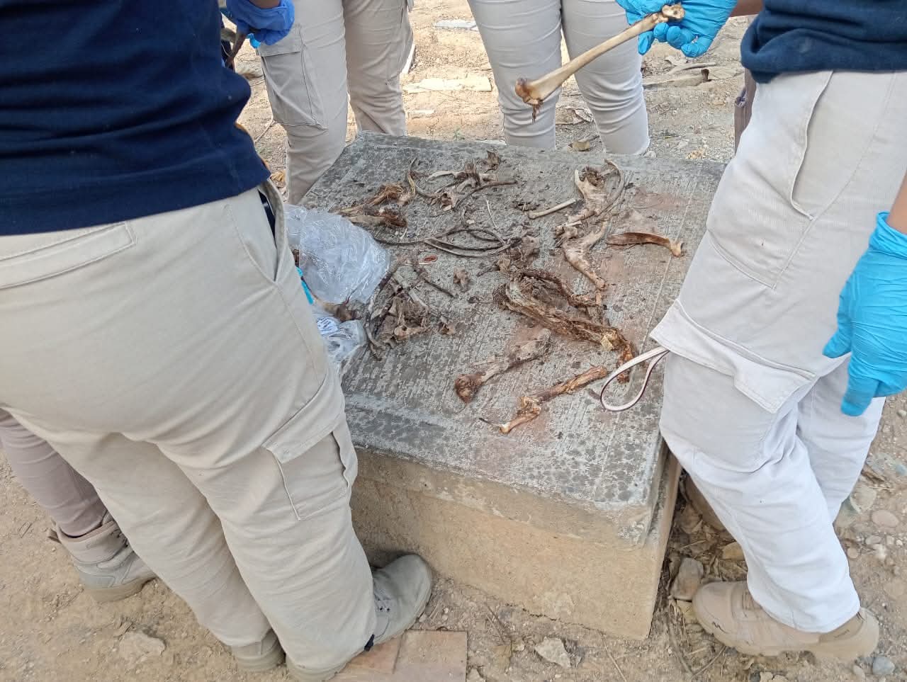 Ciencias Forenses práctica