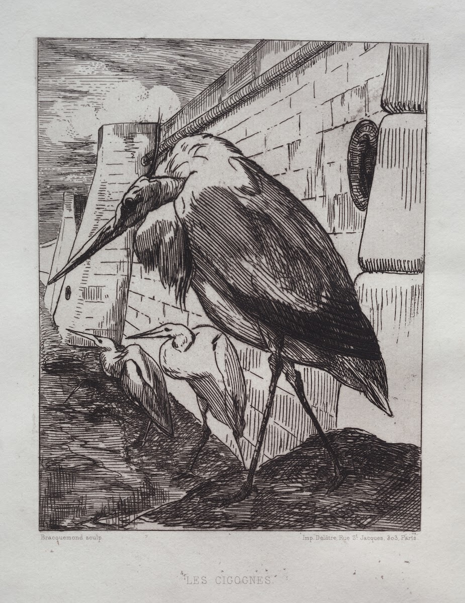 The Storks 1865