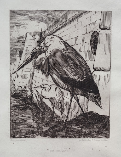The Storks 1865
