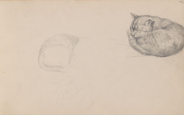 Studies of a sleeping cat between 1855 and 1857