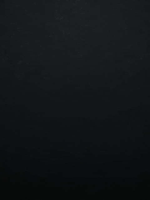 Netflix Premium