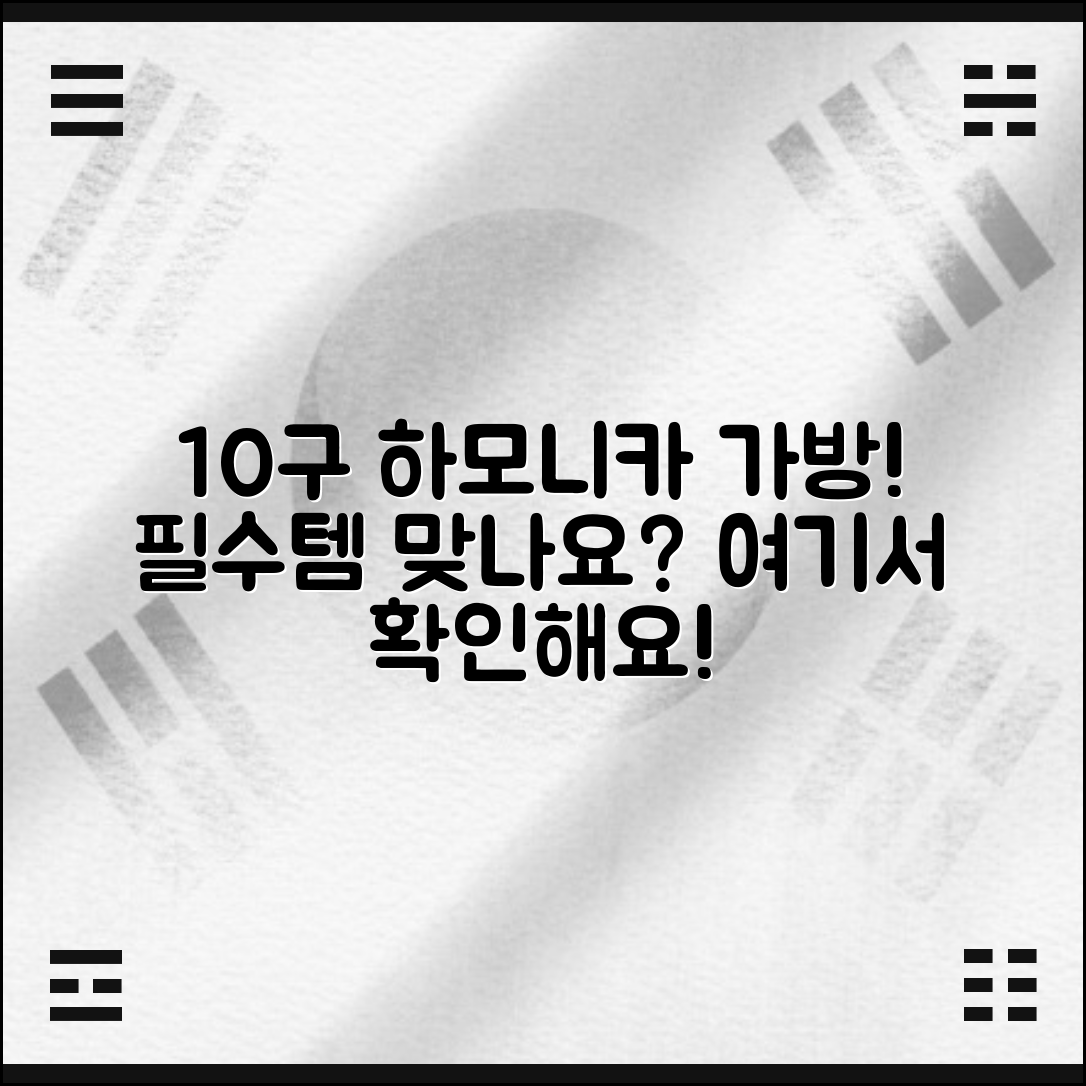 10구 하모니카 가방, 필수템일까요?