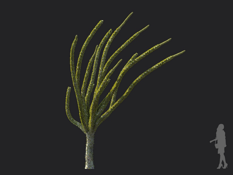Maxtree - Plant Models Vol.130