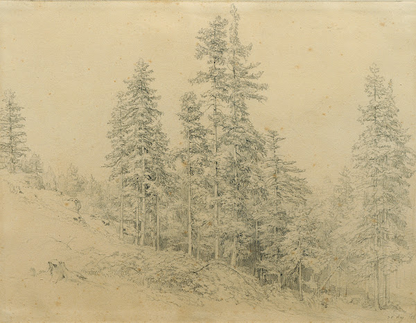 Edeltann 1863