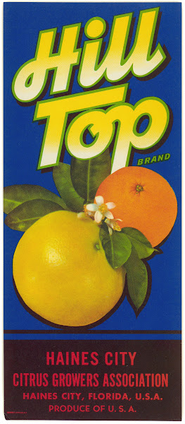 Hill Top Brand Citrus Label 1930 1950