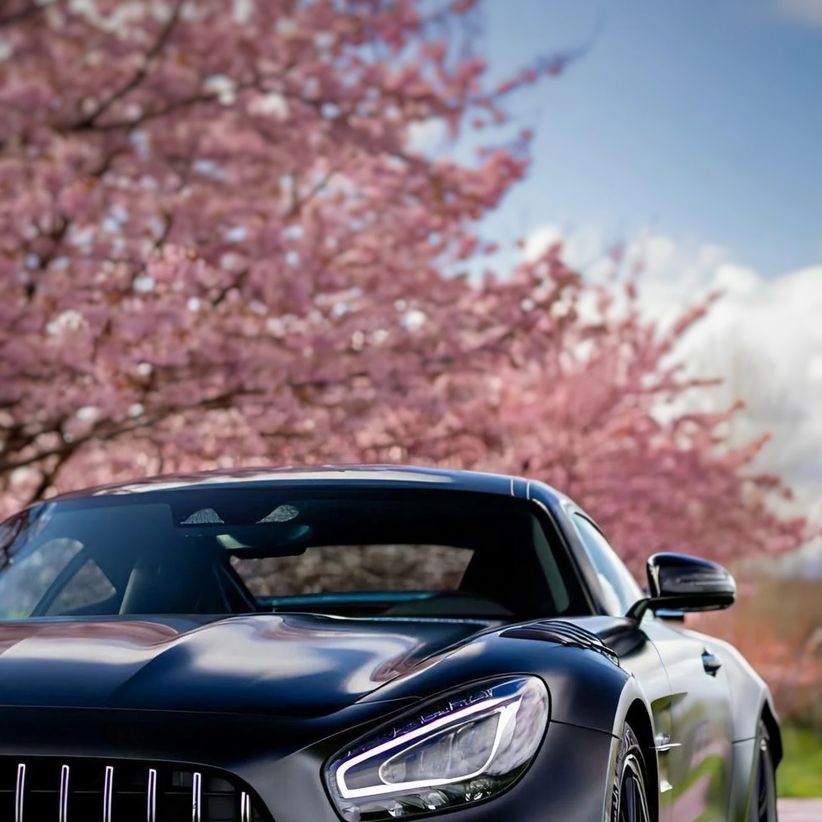 Download Mercedes Amg, Sports Car, Black Car, Cherry Blossom iPhone