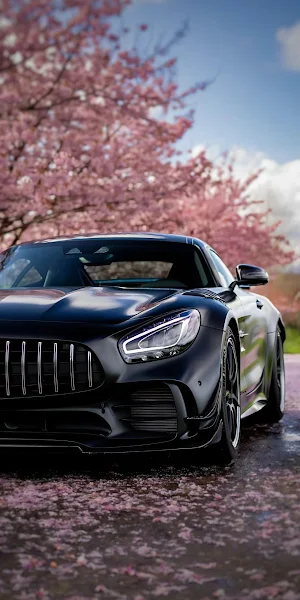 Mercedes Amg, Sports Car, Black Car, Cherry Blossom iPhone Wallpaper Background