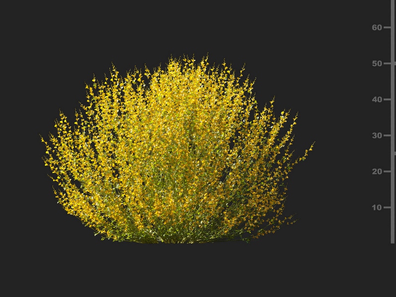 Maxtree - Plant Models Vol.127