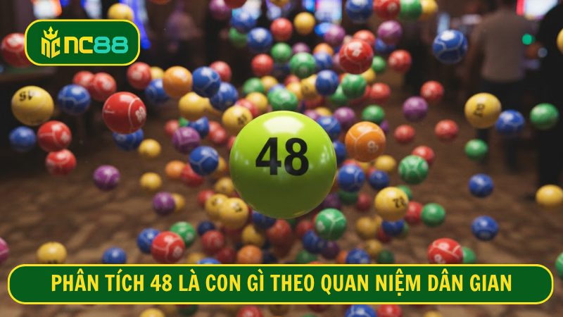Phân tích 48 là con gì theo quan niệm dân gian