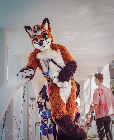 furdu--8.jpg