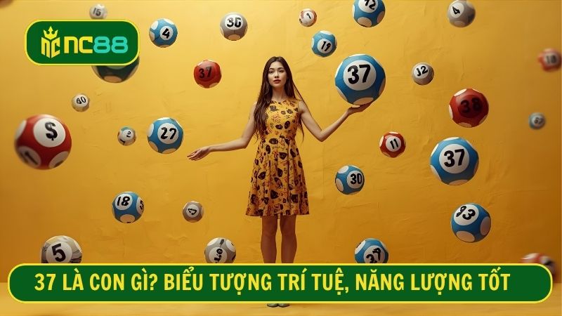 37 là con gì? Biểu tượng trí tuệ, năng lượng tốt