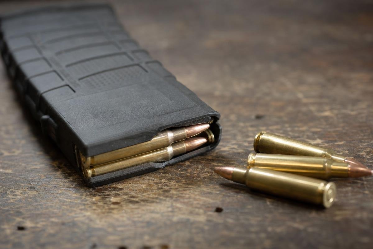 most common AR-15 failure to feed magazine inspection