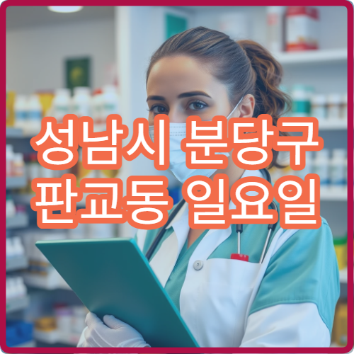 성남시 분당구 판교동 일요일 약국 판교테크노밸리 인근