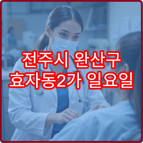 전주시 완산구 효자동2가 일요일 진료 피부과 여드름 염증 관리