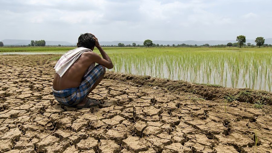 Andhra farmers are saving 12 lakh litres of water per acre while preparing for El Nino