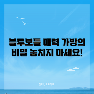 블루보틀보냉가방, 보냉가방 추천, 블루보틀 용품, 아이스백 사용법, 여름 필수템