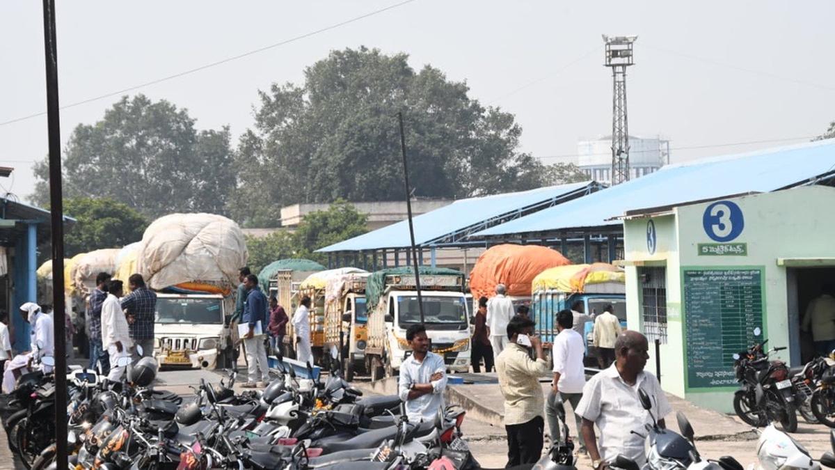 Cotton Smashes Records at ₹9,260 in Adilabad, Beating MSP