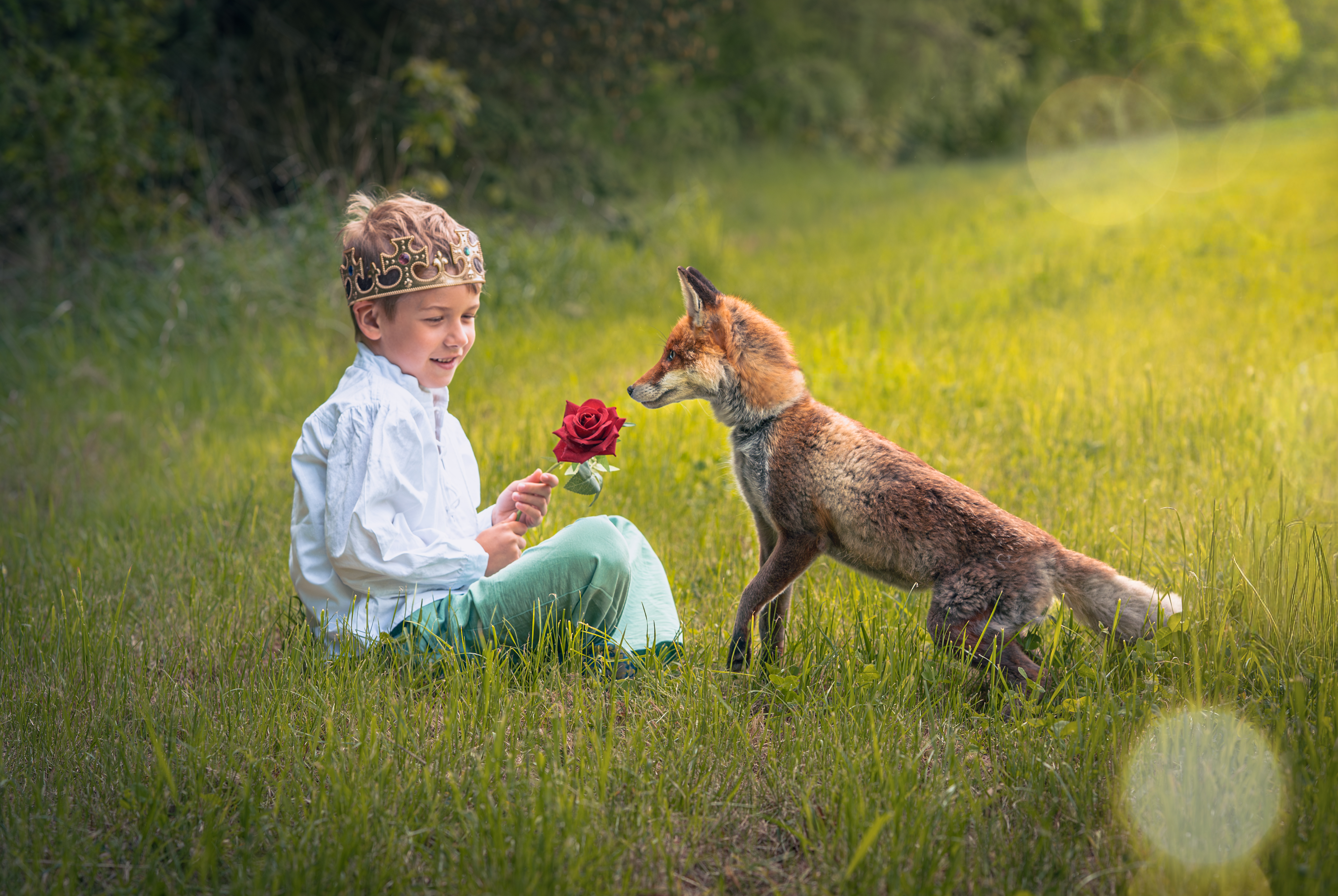 DSC_0214@2x.jpg