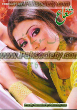 Shuaa Digest February 2011 PDF