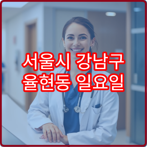 서울시 강남구 율현동 일요일 약국 당번 포함 운영 여부 정리