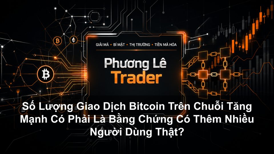 Số Lượng Giao Dịch Bitcoin Trên Chuỗi Tăng Mạnh Có Phải Là Bằng Chứng Có Thêm Nhiều Người Dùng Thật?