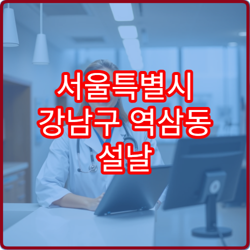 서울특별시 강남구 역삼동 설날 명절 연휴 당직약국 역삼역·테헤란로 오피스텔 24시간 조제