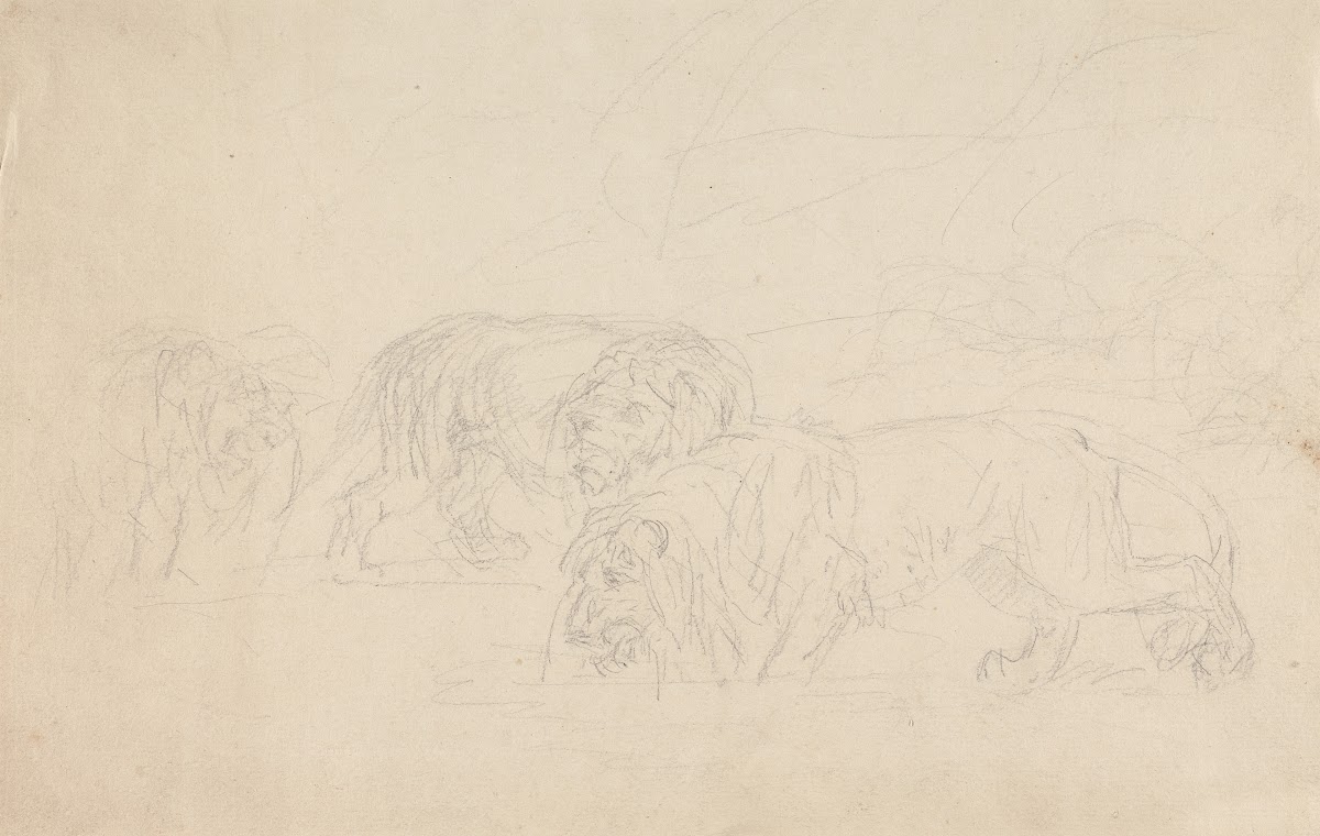 Three Lions Prowling