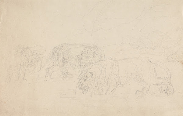 Three Lions Prowling
