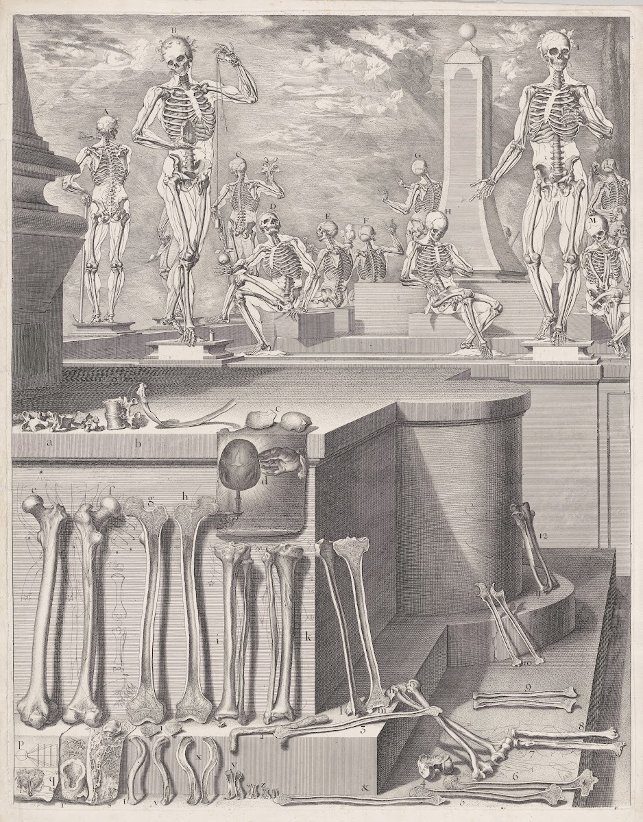 Atlas Anatomico 1680 1694