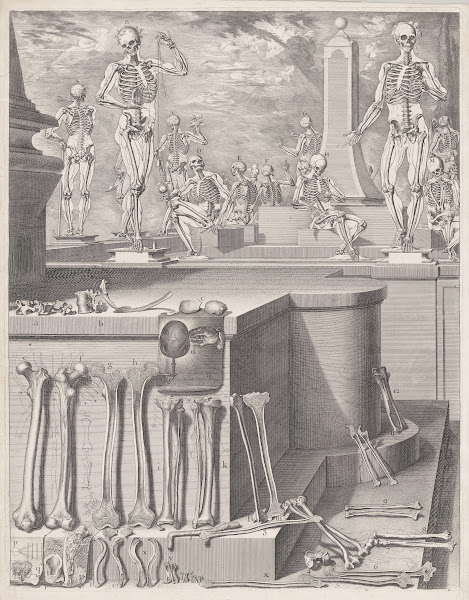 Atlas Anatomico 1680 1694