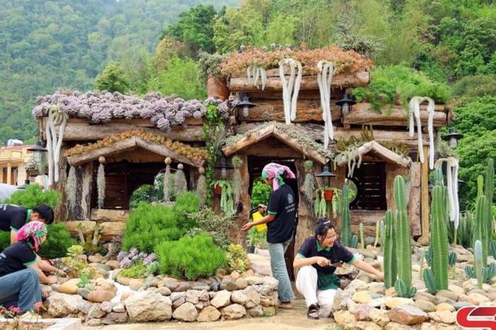 Chợ Sen đá trên cao nguyên - Báo Sơn La