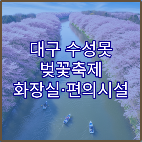 대구 수성못 벚꽃축제 화장실·편의시설 숨은 위치 실시간 사용자 공유