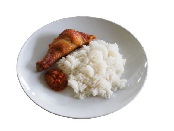 Piring Nasi Biasa