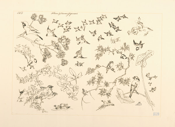 Fleurs et oiseaux japonais 1866   1878
