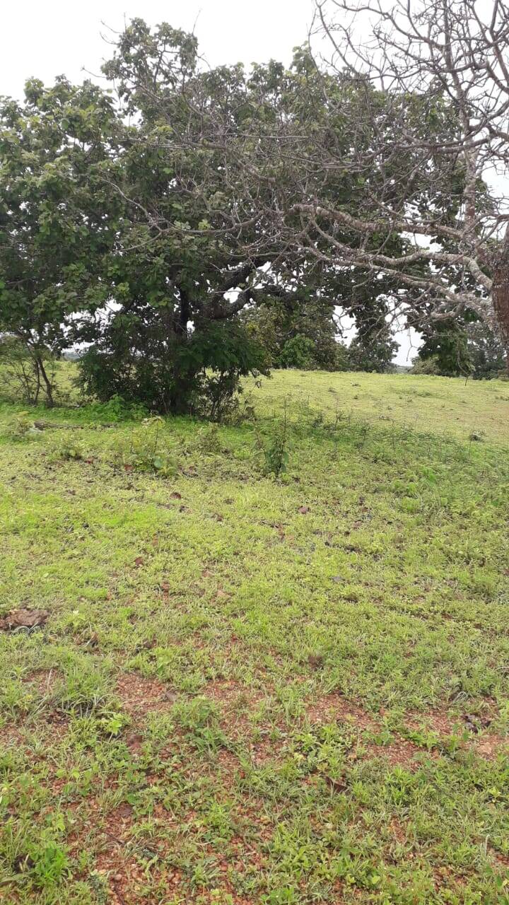 Fazenda em Padre Bernardo - GO 3