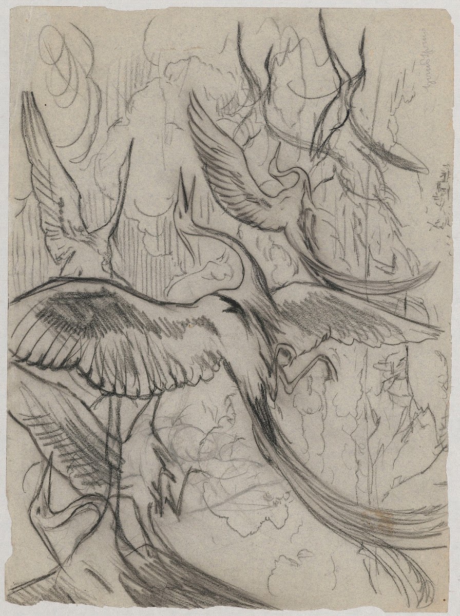 Wonderful birds 1892