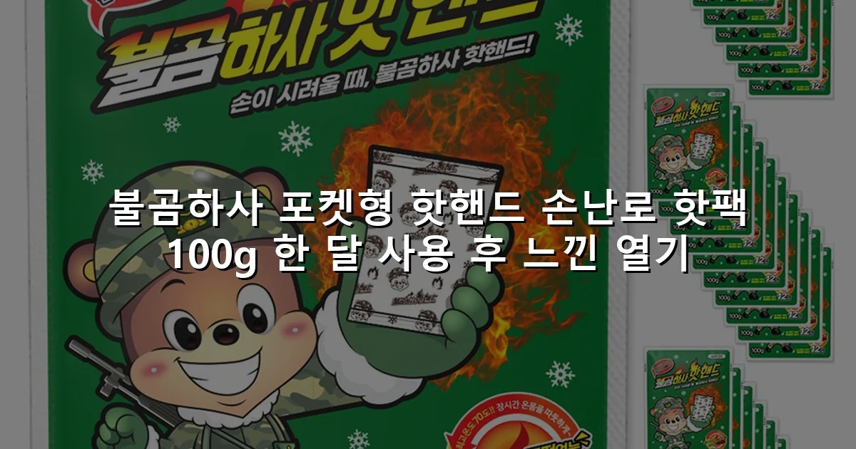 불곰하사 포켓형 핫핸드 손난로 핫팩 100g 한 달 사용 후 느낀 열기