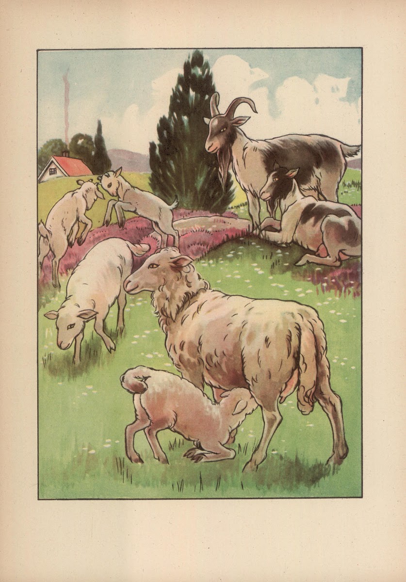 Czy już znacie Pl15 1945
