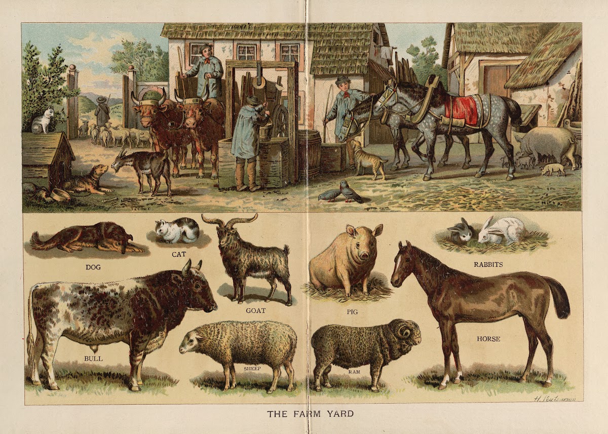 The Farm yard 1880s