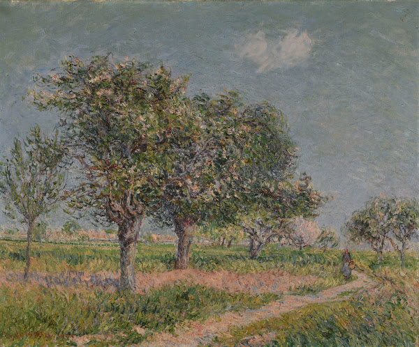 Pommiers en fleurs en Normandie 1903