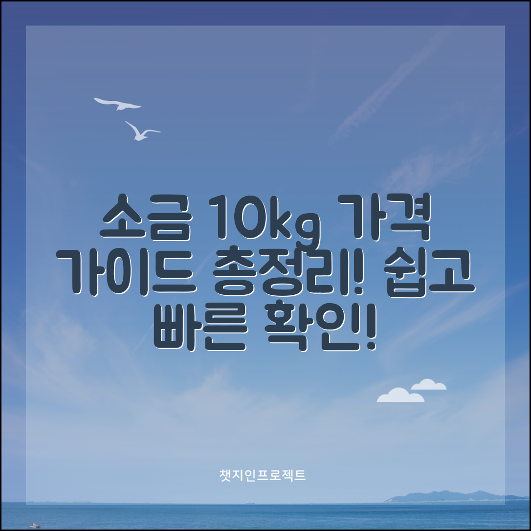 누구나 알기 쉬운 소금10kg 가격 가이드