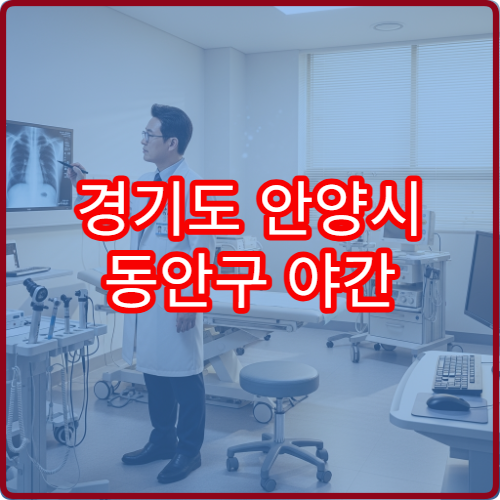 경기도 안양시 동안구 야간 내과 진료 병원 감기·소화불량 상담 가능